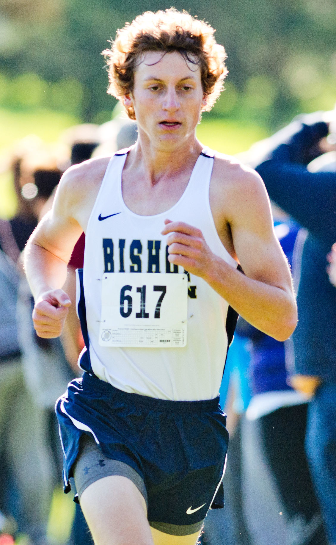 Cross Country Holstein